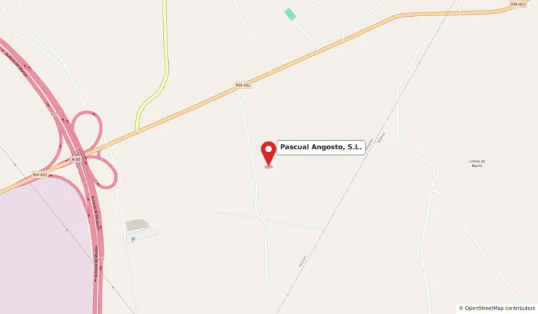 Pascual Angosto en un mapa satelite 2d